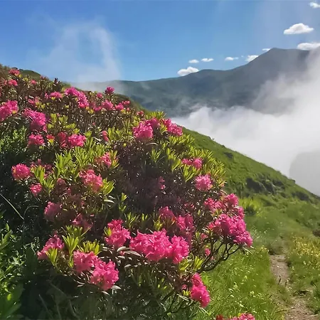 2 Bedroom In * 阿斯特